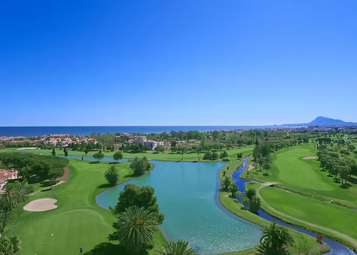 Nova & Golf Oliva